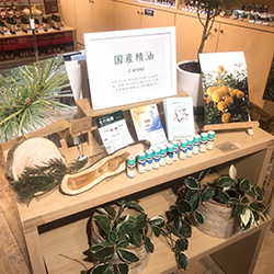 国産精油コーナー