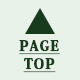 PAGE TOP